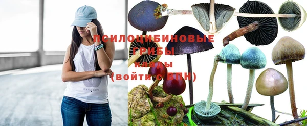 скорость Арсеньев