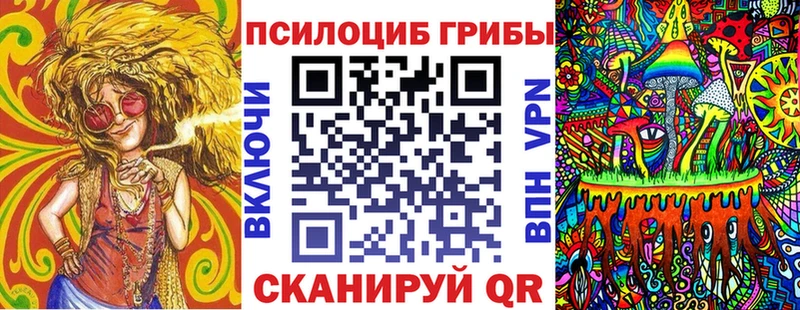 Псилоцибиновые грибы Cubensis  Купить закладки  Медынь 