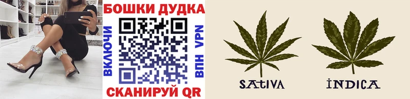 Каннабис Bruce Banner  Купить закладки  Медынь 